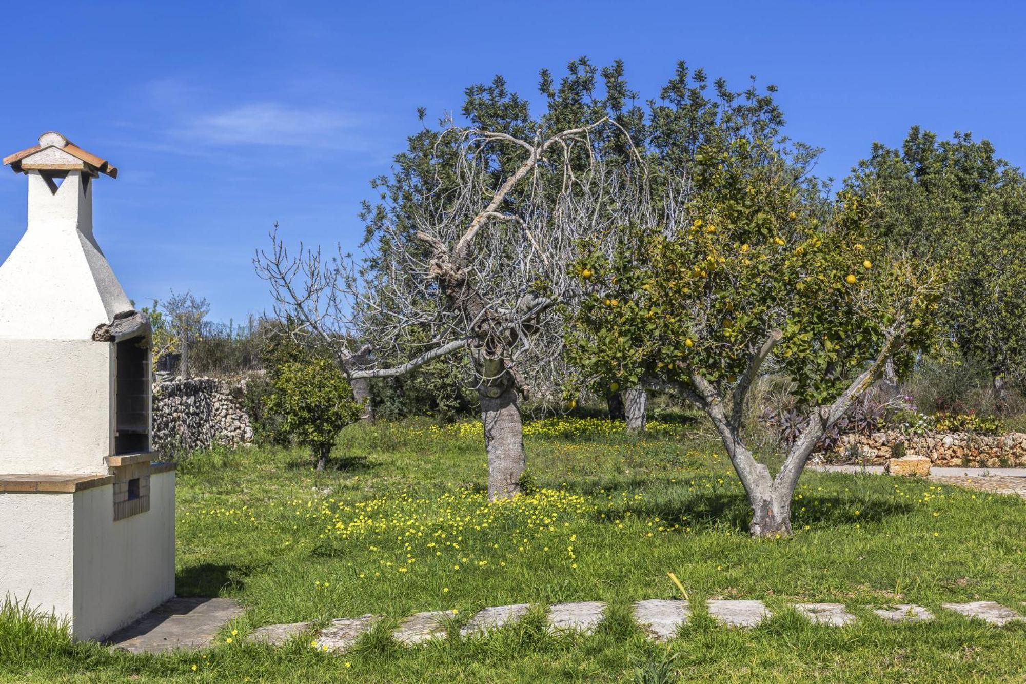 Finca Sa Torreta Santa Margalida Exterior foto