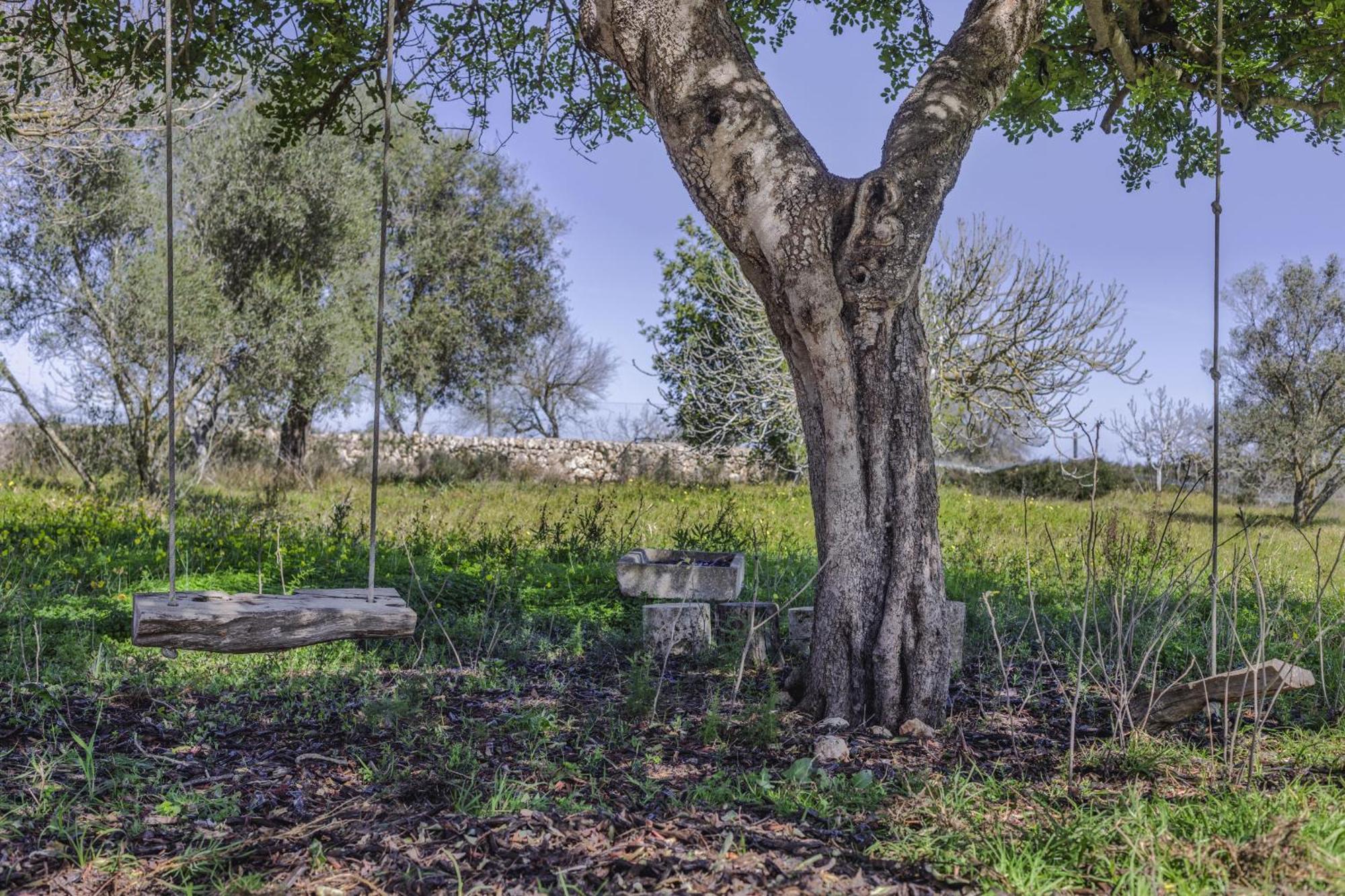 Finca Sa Torreta Santa Margalida Exterior foto